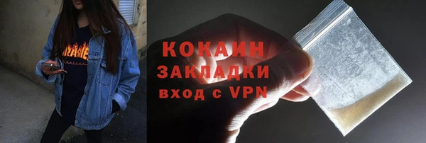 твердый Арсеньев
